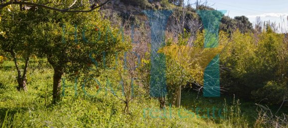 6000m² Land in Noto, Italy No. 174360 27