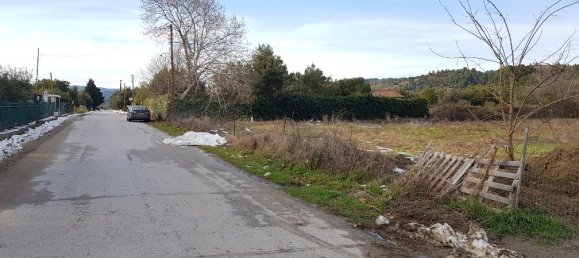 Отель, гостиница 4500м² в Халкидики, Греция № 5259 4