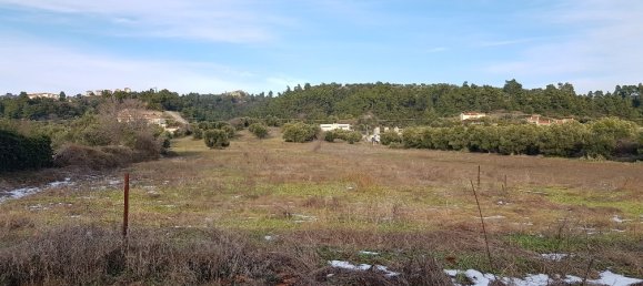 Отель, гостиница 4500м² в Халкидики, Греция № 5259 2