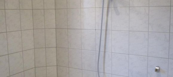 Таунхаус с 6 комнатами в Рейн-Зиг, Германия № 209196 11