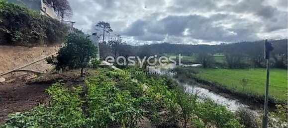 6 bedrooms House in Sao Teotonio, Portugal No. 32091 16