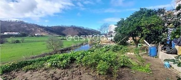 6 bedrooms House in Sao Teotonio, Portugal No. 32091 15