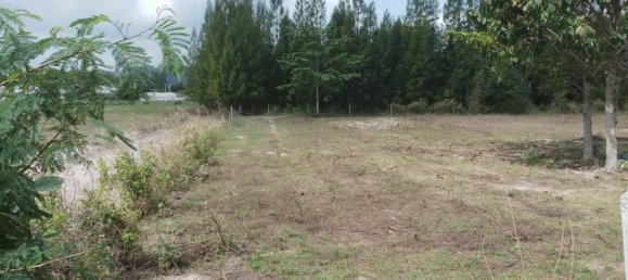  Commercial property in Hua Hin, Thailand No. 6985 5