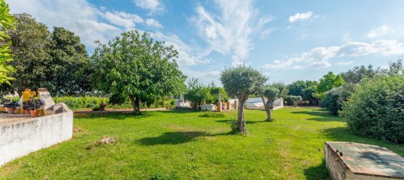 5 Schlafzimmer Haus in Estremoz, Portugal, Nr. 123869 16