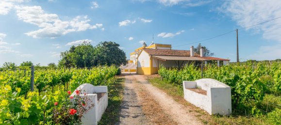 5 Schlafzimmer Haus in Estremoz, Portugal, Nr. 123869 8