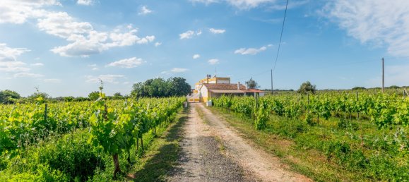5 Schlafzimmer Haus in Estremoz, Portugal, Nr. 123869 9