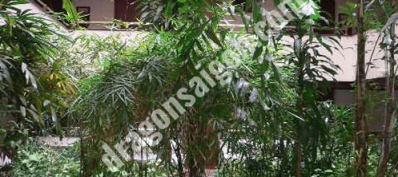 148m² Apartment in Binh Thanh, Vietnam No. 11107 9