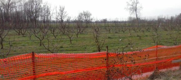 4-salle Maison à Casale sul Sile, Italy No. 224845 11