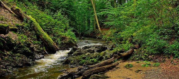3 غرف نوم شقة في Dresden, Germany رقم 67600 3
