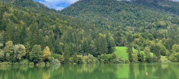 Land in Faistenau, Austria No. 128435 4