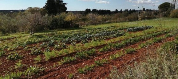  Land in Castrignano del Capo, Italy No. 148251 4