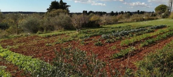  Land in Castrignano del Capo, Italy No. 148251 3