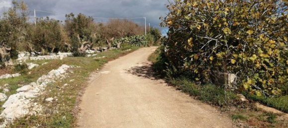  Land in Castrignano del Capo, Italy No. 148251 11