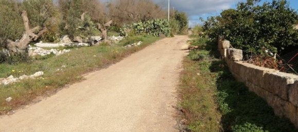  Land in Castrignano del Capo, Italy No. 148251 12