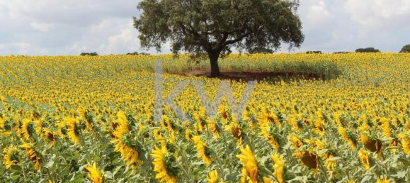 8 Schlafzimmer Haus in Beja, Portugal, Nr. 41706 30