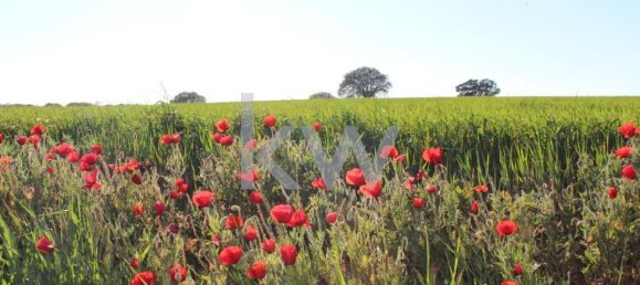 8 Schlafzimmer Haus in Beja, Portugal, Nr. 41706 31