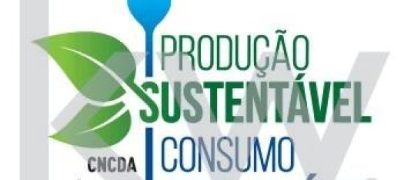 8 Schlafzimmer Haus in Beja, Portugal, Nr. 41706 47