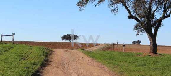 8 Schlafzimmer Haus in Beja, Portugal, Nr. 41706 50