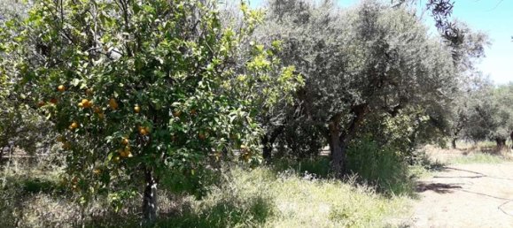  Hotel in Zakynthos, Greece No. 809 13