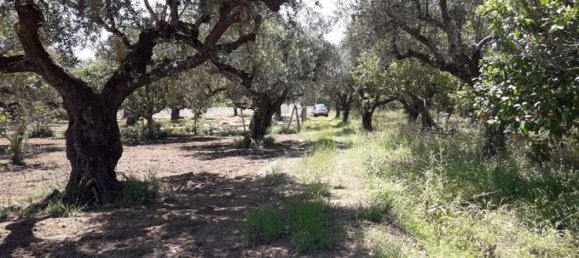  Hotel in Zakynthos, Greece No. 809 2