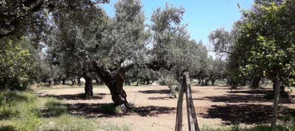  Hotel in Zakynthos, Greece No. 809 17