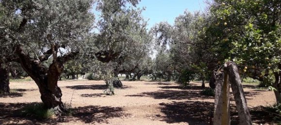  Hotel in Zakynthos, Greece No. 809 21