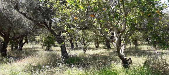  Hotel in Zakynthos, Greece No. 809 10