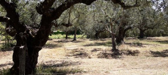  Hotel in Zakynthos, Greece No. 809 18