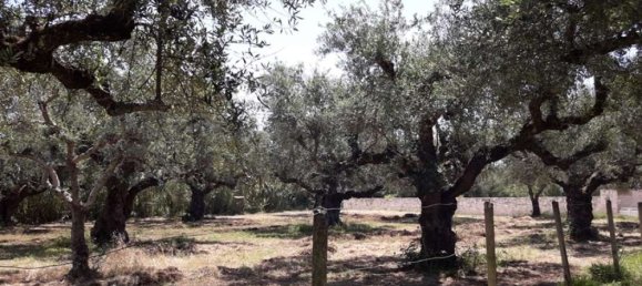  Hotel in Zakynthos, Greece No. 809 19