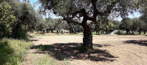  Hotel in Zakynthos, Greece No. 809 12