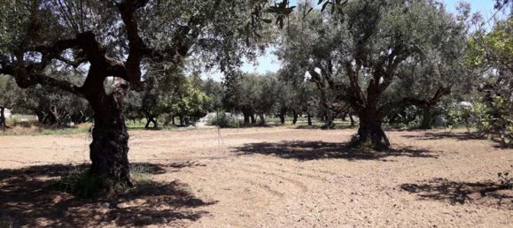  Hotel in Zakynthos, Greece No. 809 20