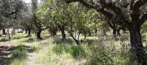  Hotel in Zakynthos, Greece No. 809 8