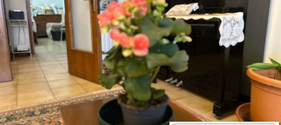 3 bedrooms Apartment in Pistoia, Italy No. 114639 4