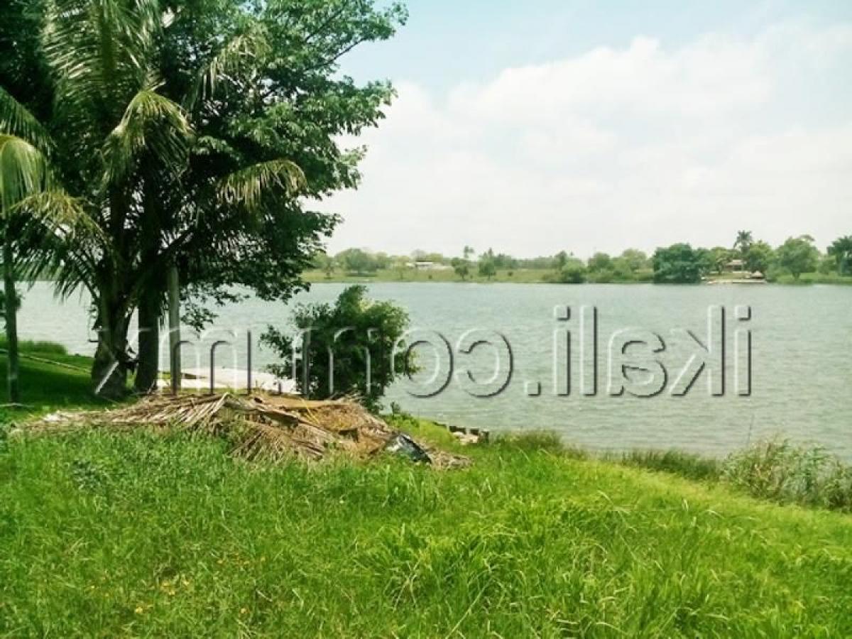  Land in Veracruz, Mexico No. 203615