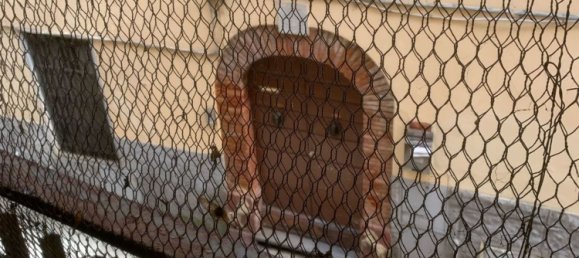 4 rooms Apartment in Camaiore, Italy No. 44311 15