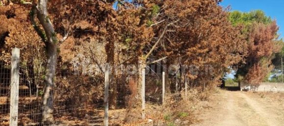 Villa de 5 divisões em Brindisi, Italy N.º 345454 2