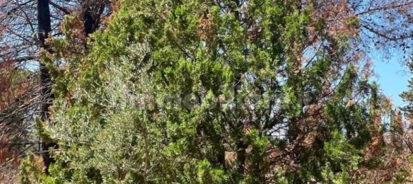 Villa de 5 divisões em Brindisi, Italy N.º 345454 21