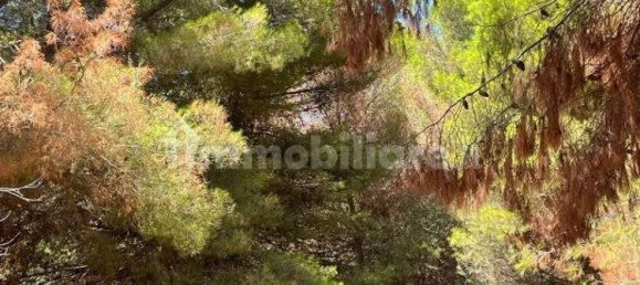 Villa de 5 divisões em Brindisi, Italy N.º 345454 15