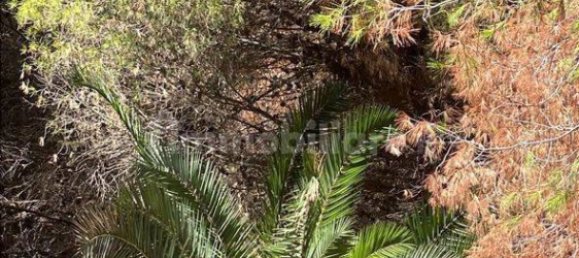 Villa de 5 divisões em Brindisi, Italy N.º 345454 19