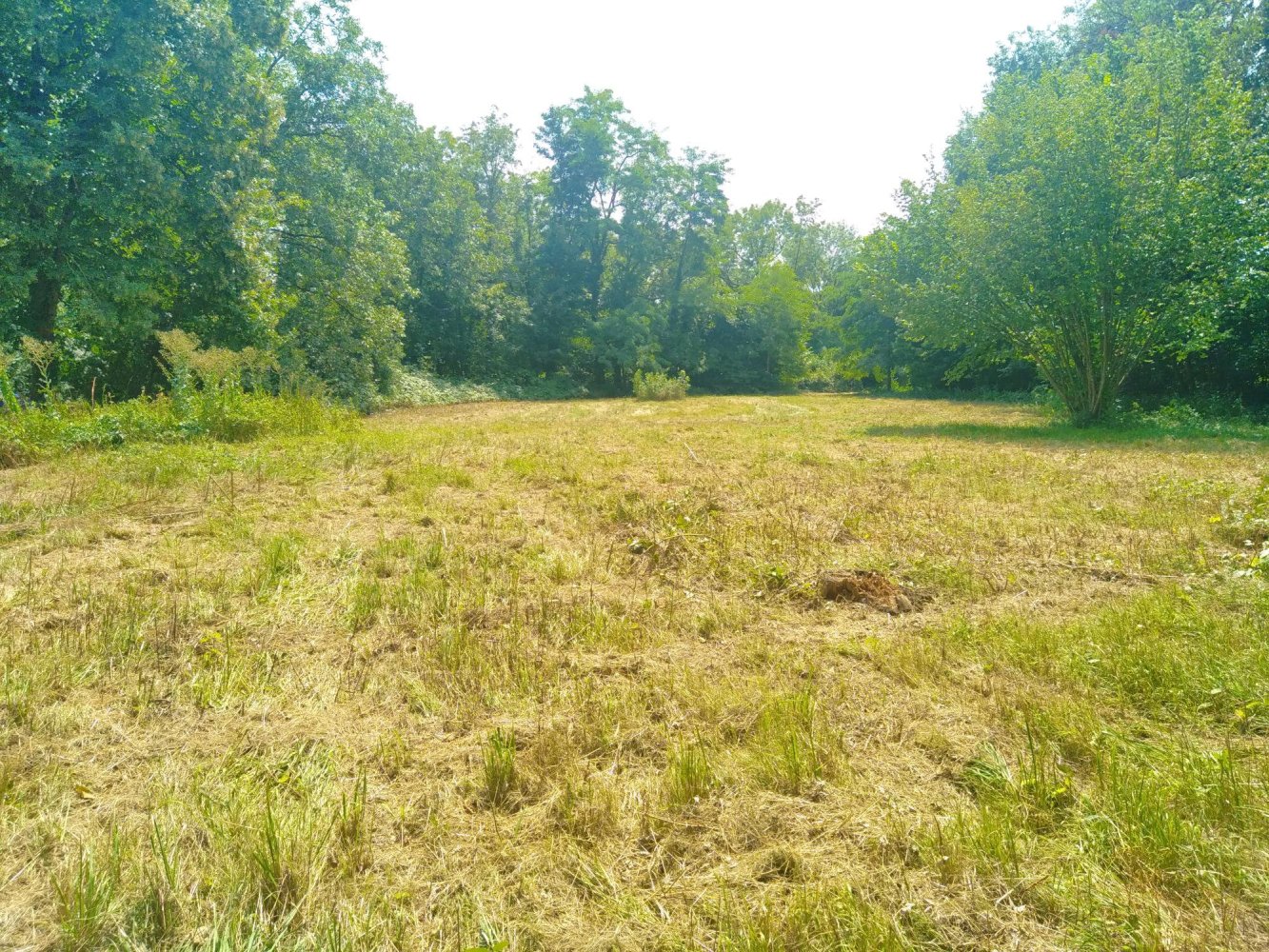  Land in Haut-Rhin, France No. 40146