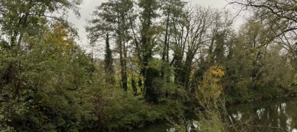  Land in Haut-Rhin, France No. 40146 4