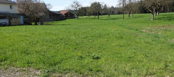 Земельный участок в Хёрбранц, Австрия № 45757 4