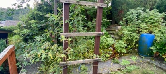 2 bedrooms House in Hof, Germany No. 119462 46