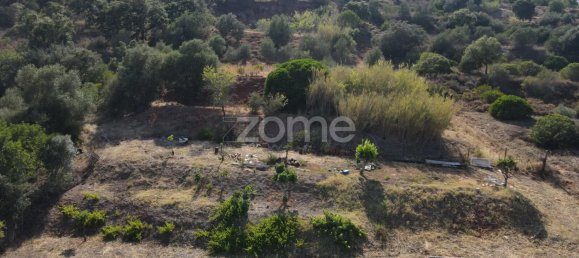 5 bedrooms House in Sao Bartolomeu de Messines, Portugal No. 141359 49