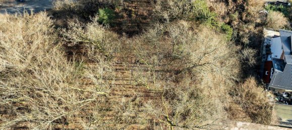 Land in Rhein-Neckar-Kreis, Germany No. 62275 2