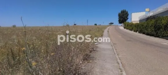 Земельный участок 31800м² в Самора, Испания № 66577 7