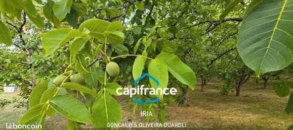 4 bedrooms House in Pujols, France No. 314886 18