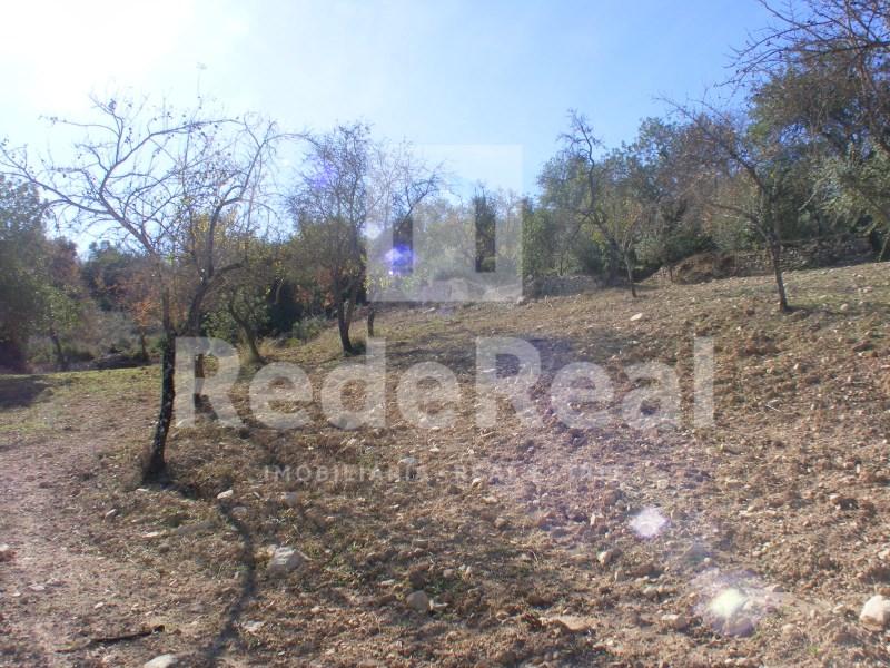 Terrain à Loule, Portugal 7216m² No. 333947