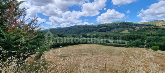 3 Schlafzimmer Haus in Pontassieve, Italy, Nr. 219480 46