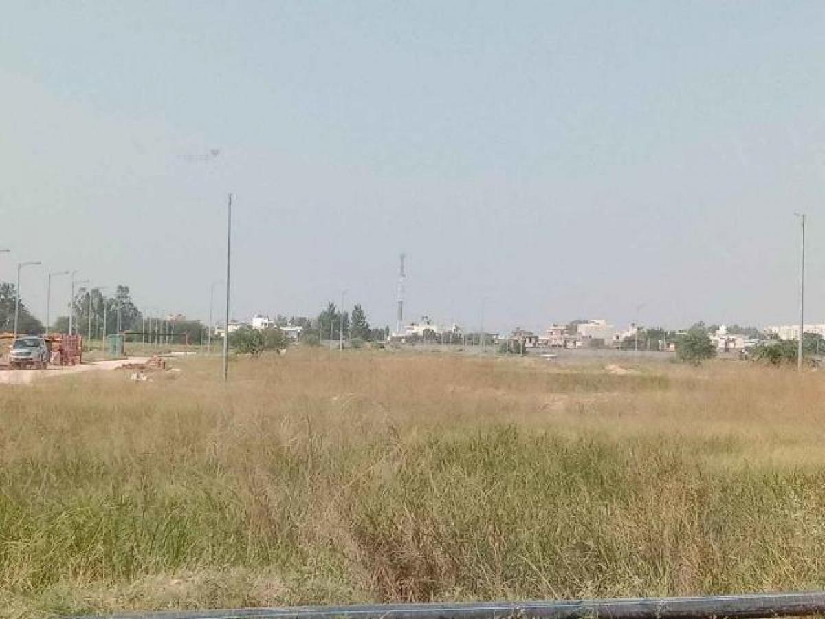  Land in Mohali, India No. 36708